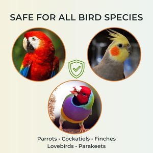 Spray pour animaux de compagnie à marque privée pour le bain – Aide à apaiser les peaux sèches et irritées, favorise la santé des plumes – Parfum d'eucalyptus et de thym à base de plantes pour oiseaux - Product Image 4