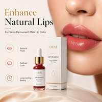 Encre de microblading personnalisée ODM, pigment liquide nano pour les artistes de l'académie de tatouage, fournitures PMU pour les lèvres et les sourcils
