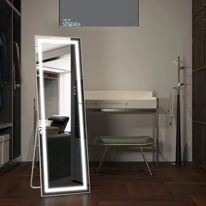 <span class=keywords><strong>2025</strong></span> hình chữ nhật đầy đủ chiều dài Đứng LED phòng tắm treo tường Salon trang điểm gương hiện đại FM mỹ phẩm phòng thay đồ gương phổ biến - Product Image 4