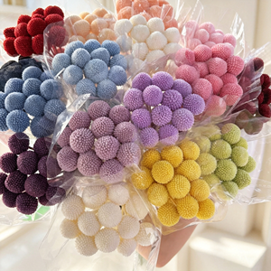 Fleurs séchées Billy Button, Craspedia boule dorée préservée pour arrangements <span class=keywords><strong>de</strong></span> fleurs séchées - Product Image 5