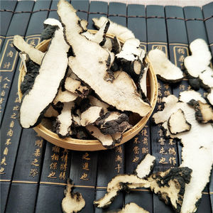 Zhu Ling, Champignon à Pores Ovales Chinois, Polyporus <span class=keywords><strong>Umbellata</strong></span> Séché - Product Image 2