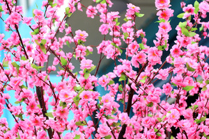 Hồng Sakura cây cưới đào hoa anh đào nhân tạo cây sợi thủy tinh bền cho mục đích trang trí - Product Image 3