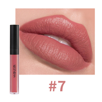 Échantillon de rouge à lèvres liquide mat velours 24 couleurs, gloss à lèvres mat nude, pigment personnalisé, rouge à lèvres mat longue tenue et waterproof