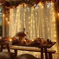 Guirlandes lumineuses LED pour rideau, extérieur, alimentées par USB, 3x3m, 300 LED, 8 modes, pour mariage, fête, Noël, fenêtre, chambre à coucher, décoration