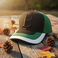 Gorra de Béisbol de Alta Calidad con Bordado 3D, 6 Paneles, Personalizable, de Dos Tonos, Unisex, con Visera Sandwich, Estilo Boston
