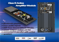 Lihui classe D prix compétitif 300W Module amplificateur 2 canaux haut-parleur actif carte amplificateur de puissance pour haut-parleur