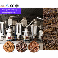 Ligne de granulation de biomasse CLASSY pour copeaux de bois, sciure, déchets de palmier, machine à granulés EFB, usine industrielle, fournisseur