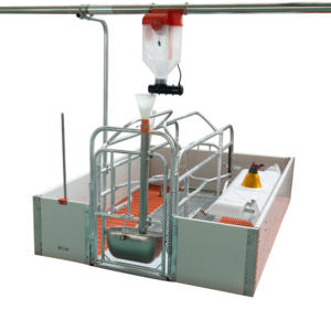 Cages pour porcs, stylo de mise bas pour porcelets avec plancher à lattes en plastique pour pépinière de bétail - Product Image 1