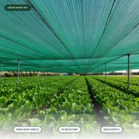 Toile d'ombrage pour serre agricole, résistante aux UV, en HDPE, pour la culture de légumes, de fruits et de fleurs, utilisation en ferme