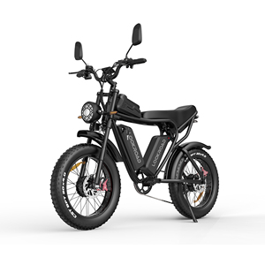 Vélo électrique L20 PRO à double moteur 52V 40Ah, autonomie longue portée 200-250 km, freins à disque hydrauliques doubles, certifié CE, pneus larges de 20 pouces - Product Image 5