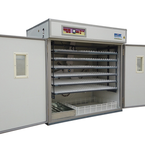<span class=keywords><strong>1584</strong></span> 계란 자동 온도 습도 제어 기계 계란 해처 - Product Image 5