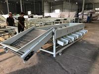 Vente chaude de haute qualité noyer Orange classement Machine pomme agrumes oignon ail taille classement Machine