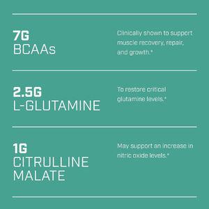 Personalización de fábrica Productos BCAA Apoya la reparación y el crecimiento de la recuperación muscular Polvo BCAA original con mezcla de electrolitos - Product Image 3