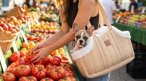 Sac de transport pour animaux de compagnie de haute qualité, confortable et épais pour l'hiver, avec intérieur en polaire, sac de transport pliable pour voiture, sac de shopping portable - Product Image 6