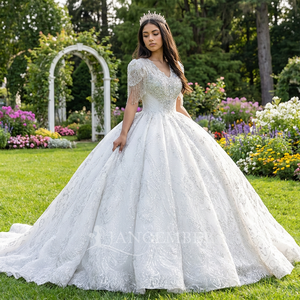 Vestido de Novia Wx293 con Cuello en V, Estilo Europeo, con Cola Larga, Vestido de Novia Sexy, Vestido de Novia Grande, Jancember - Product Image 1