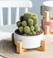 Nordique en céramique Pot de fleur bol anti-dérapant support en bois Multi couleurs céramique cadre en bois maison jardin minimaliste en gros