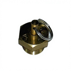 Fit for TATA Water Drain Valve Air Tank OEM 257643790159 1512 1316 1318 LPT Truck Bus Commercial Auto Spare Parts - Product Image 1
