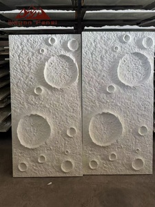 Pannello Murale 3D Wayon in PU Effetto Pietra Lunare Realistica di Alta Qualità, Rivestimento in Poliuretano Testurizzato per Hotel Moderni - Product Image 1