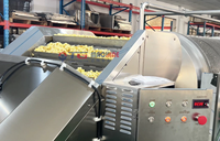 Machine à Popcorn Industrielle Entièrement Automatique pour Champignons, Différentes Saveurs Colorées, Ligne de Production de Popcorn