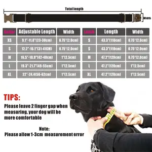 Personalized Free Custom Engraving ID Name Tag Pet Puppy Waterproof Big Luxury Training Tactical Dog Set Cat Pet Dog Collar