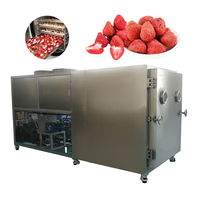 100Kg 300Kg 500Kg 1000Kg Vriesdroogmachine Vacuümdroogmachine Voedselverwerkingsapparatuur 380V SUS304 RVS Bitzer/Leybold