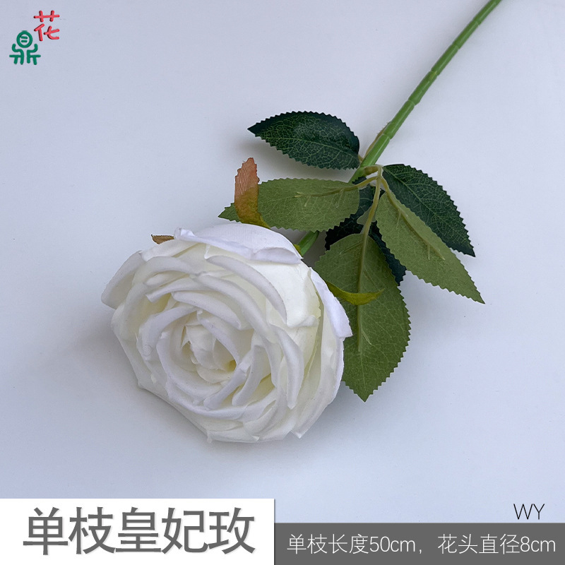 Rose royale à tige unique WY White