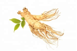 Thực phẩm tự nhiên lớp Panax Siberian nhân sâm đỏ chiết xuất từ rễ BỘT THẢO DƯỢC lá & STEM chiết xuất 1kg moq - Product Image 3