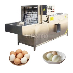 Machine de lavage et de séchage <span class=keywords><strong>des</strong></span> œufs à haute productivité/Machine de cuisson <span class=keywords><strong>des</strong></span> œufs/Machine à décortiquer les œufs à la coque - Product Image 4