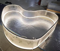 Bande lumineuse ultra-longue, flexible, mate, semi-opaque, lumineuse, style Song, esthétique, douce, en forme d'os de dragon, pour lustre de plafond