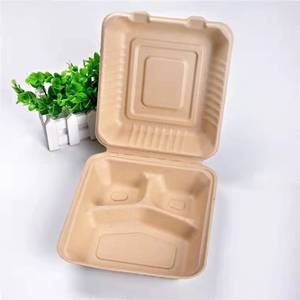 Foam Packaging Specialized Foam Food Box Biodegradable Food Boxes Sushi Packaging Contain Lunch Box
