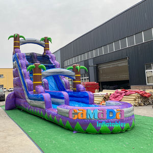 Gran oferta, gran Fiesta infantil de agua de PVC para entretenimiento al aire libre, castillo, tobogán húmedo inflable - Product Image 4