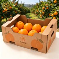 Herbruikbare milieuvriendelijke vouwbare golfkartonnen doos met luchtgaten, 10kg druiven, verse fruit export, zeevracht, levering, embossing