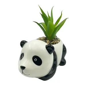 Giardino Animale di Ceramica Vasi di Piante per La Decorazione Domestica con Panda Forma E Succulente