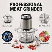 Hachoir Électrique Multifonctionnel en Acier Inoxydable 3L, Hachoir à Viande, Hachoir à Légumes, Trancheuse, Robot Culinaire Domestique