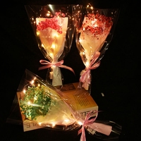 Asters éternels lumineux à LED Fleurs séchées Bouquet de confession Saison de remise des diplômes Envoyer des fleurs à l'enseignant Cadeau