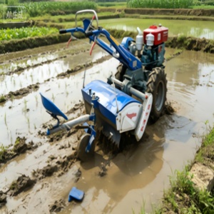 Trattore Agricolo 20HP 2WD ad Alta Produttività con Carrello - Product Image 6