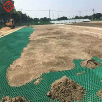 Grille en plastique HDPE pour système de renforcement du sol, allée, route en béton, gazon