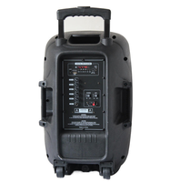 2025 12 pouces échantillon gratuit disponible système de son HIFI professionnel 60W haut-parleurs de moniteur de scène active pour Home cinéma en plein air