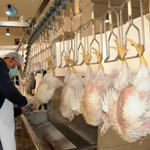 L'abattage de volailles ligne de production de poulet canard lapin boucherie équipement