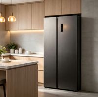 Réfrigérateur côte à côte 421L à refroidissement par air, sans givre, à commande électronique, économe en énergie pour usage domestique