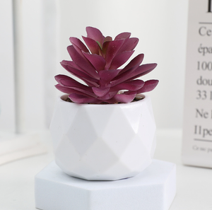 Bürodekoration Keramik-Blumentopf kleiner Kunststoff-Bonsai Minikitze künstliche Sukkulenten im Topf - Product Image 3