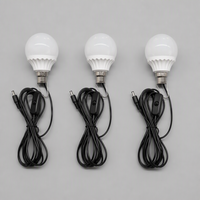 Ampoule LED DC5V pour usage extérieur avec câble de 2,8 m, prise DC5521, interrupteur marche/arrêt, crochet métallique pour un accrochage facile, IRC 80, 3000K/6500K
