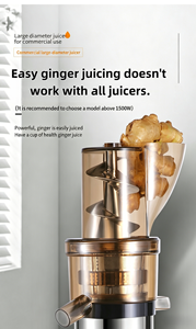Extracteur <span class=keywords><strong>de</strong></span> jus à froid professionnel pour oranges, citrons, gingembre, tout en acier inoxydable, séparation des résidus - Product Image 3