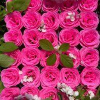 1 kg de paillettes extra fines et super fines pour fleurs artificielles