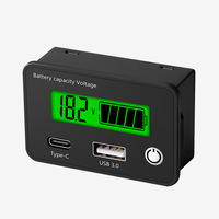 Indicateur de capacité de batterie au lithium et au plomb DC8-30V, voltmètre numérique pour voiture et moto, testeur de tension, sortie USB Type C