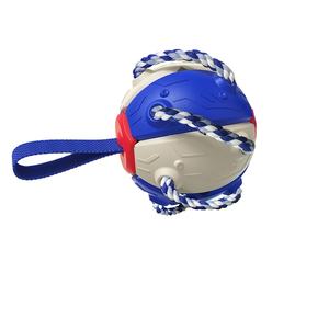 Pet malzemeleri fabrika şirket üreticisi oyuncak üreticisi köpek/köpek/köpek oyuncak oyunu sinek topu disk topu - Product Image 1