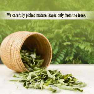 ใบกระเพาะแห้งธรรมชาติ 100% จากศรีลังกา - Product Image 5