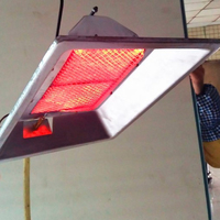 Chauffe-élevage infrarouge à gaz économe en énergie, avec coque en aluminium et thermocouple de sécurité pour poussins et porcelets