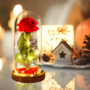 Rosa Eterna Artificial con Luz LED, La Bella y la Bestia en Cubierta de Cristal, Decoración Navideña para el Hogar, Regalo para el Día de la Madre, San Valentín, Año Nuevo - Product Image 4