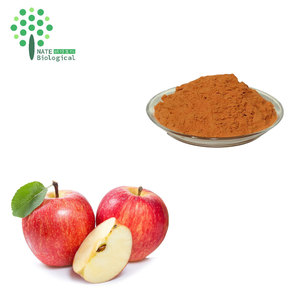 Độ tinh khiết cao của <span class=keywords><strong>Apple</strong></span> polyphenol 80% tự nhiên màu xanh lá cây chiết xuất táo - Product Image 1